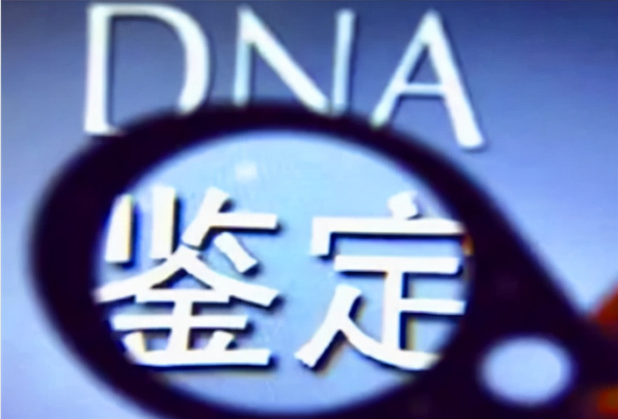 枣庄个人办理血缘检测需要如何做,枣庄DNA亲子鉴定基本流程