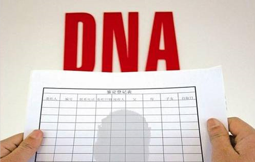 枣庄DNA亲子鉴定收费多少钱,枣庄亲子鉴定流程